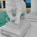 黑龙江 白麻花岗岩动物异形石雕-大象