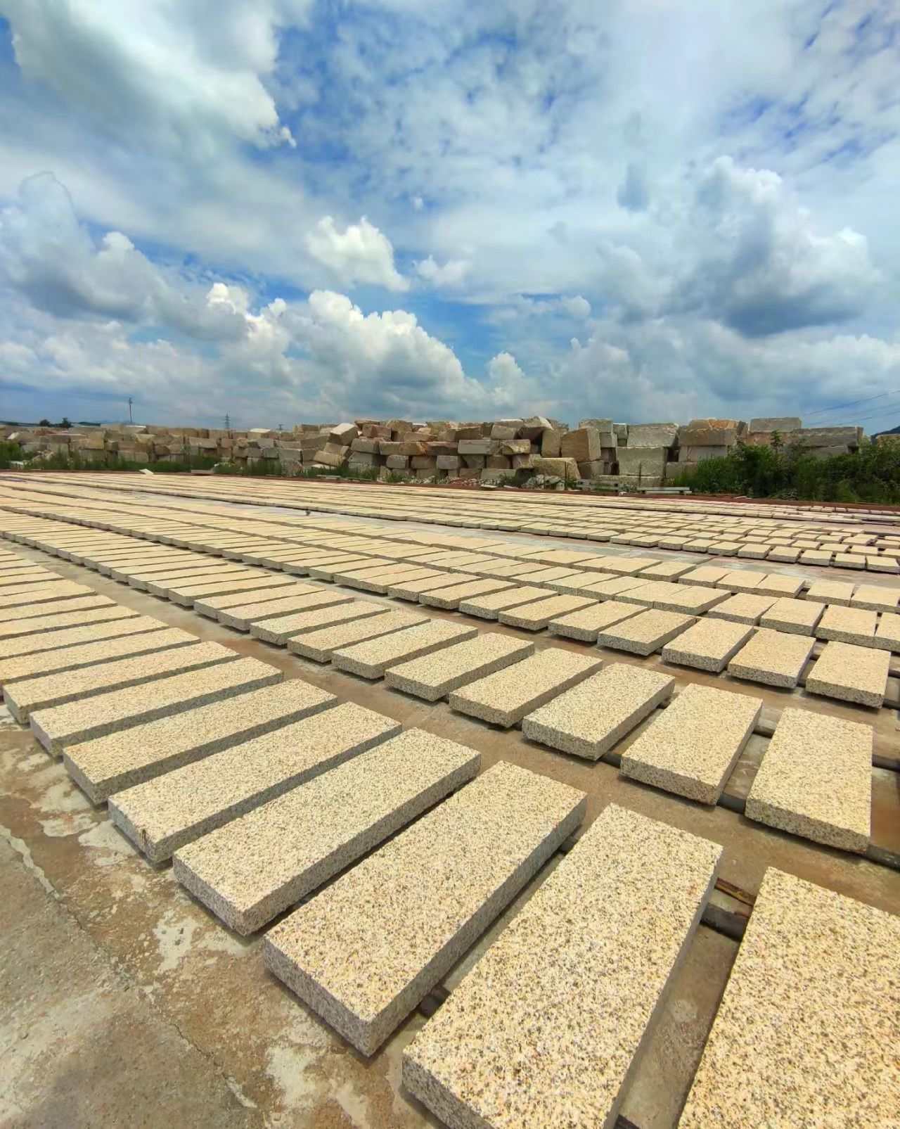 黑龙江 黄金麻花岗岩荔枝面地铺石防护中